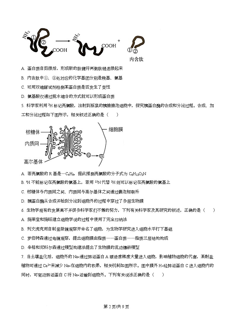 湖北省随州部分学校2025-2026学年高一上学期12月月考生物试题（原卷版）第2页