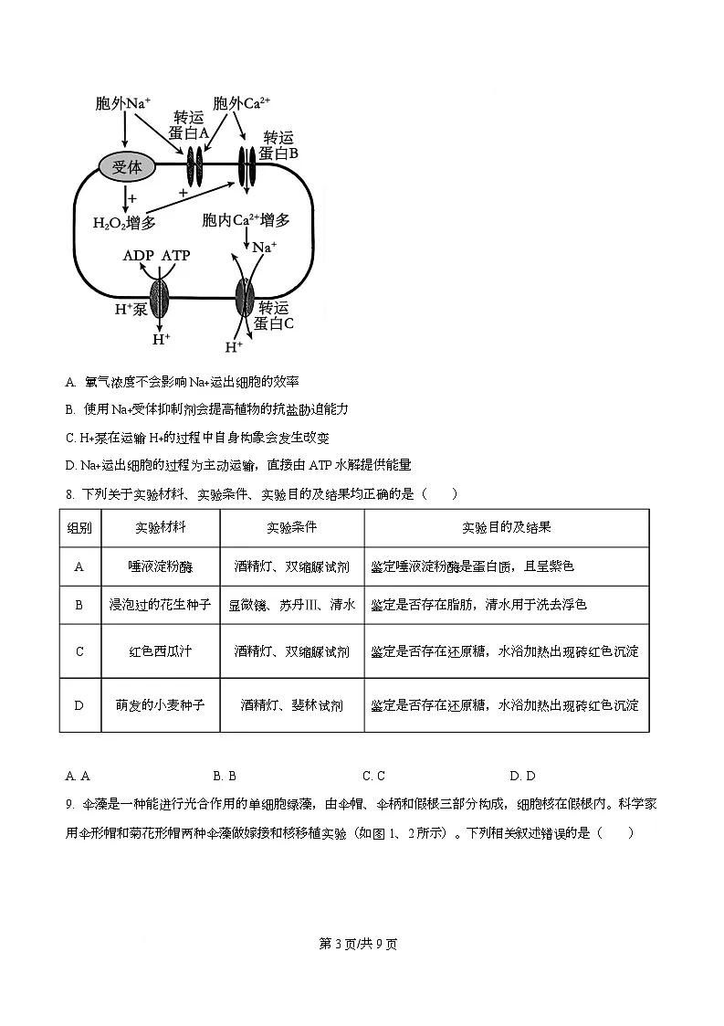 湖北省随州部分学校2025-2026学年高一上学期12月月考生物试题（原卷版）第3页