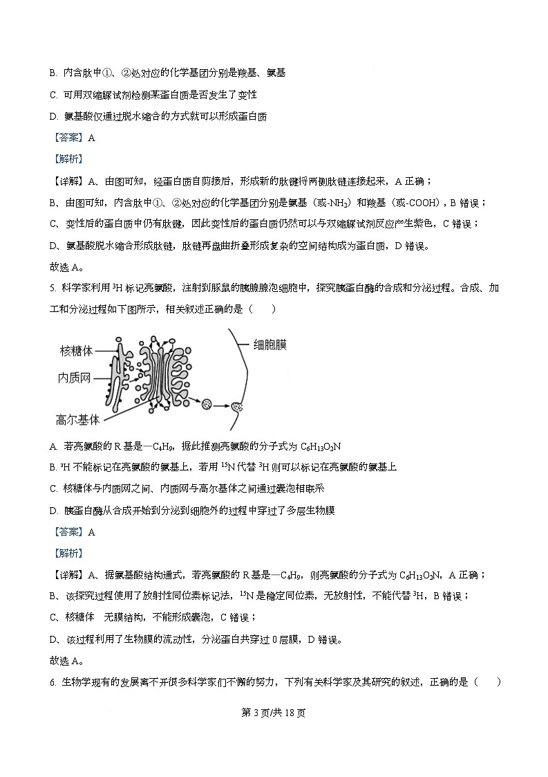 湖北省随州部分学校2025-2026学年高一上学期12月月考生物试题 Word版含解析第3页