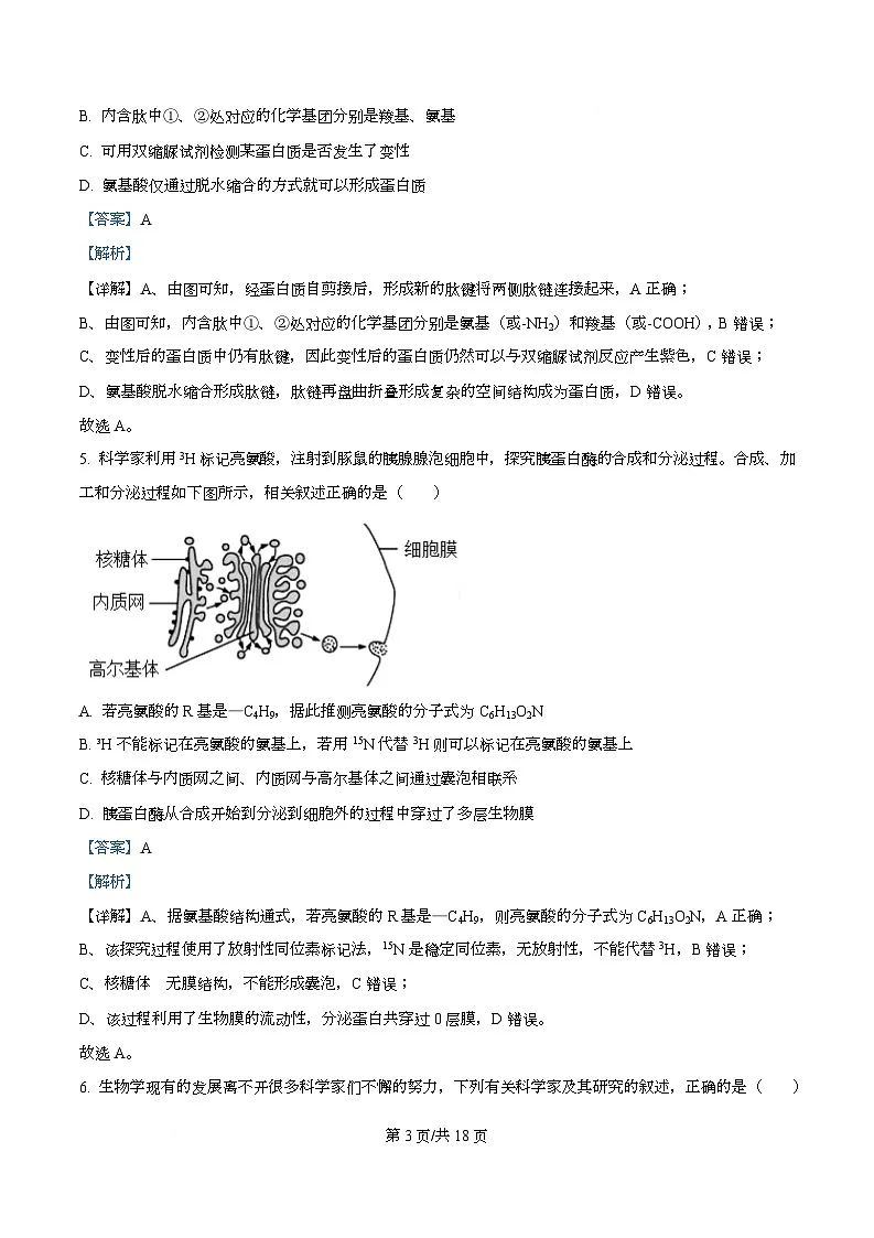 湖北省随州部分学校2025-2026学年高一上学期12月月考生物试题 Word版含解析第3页