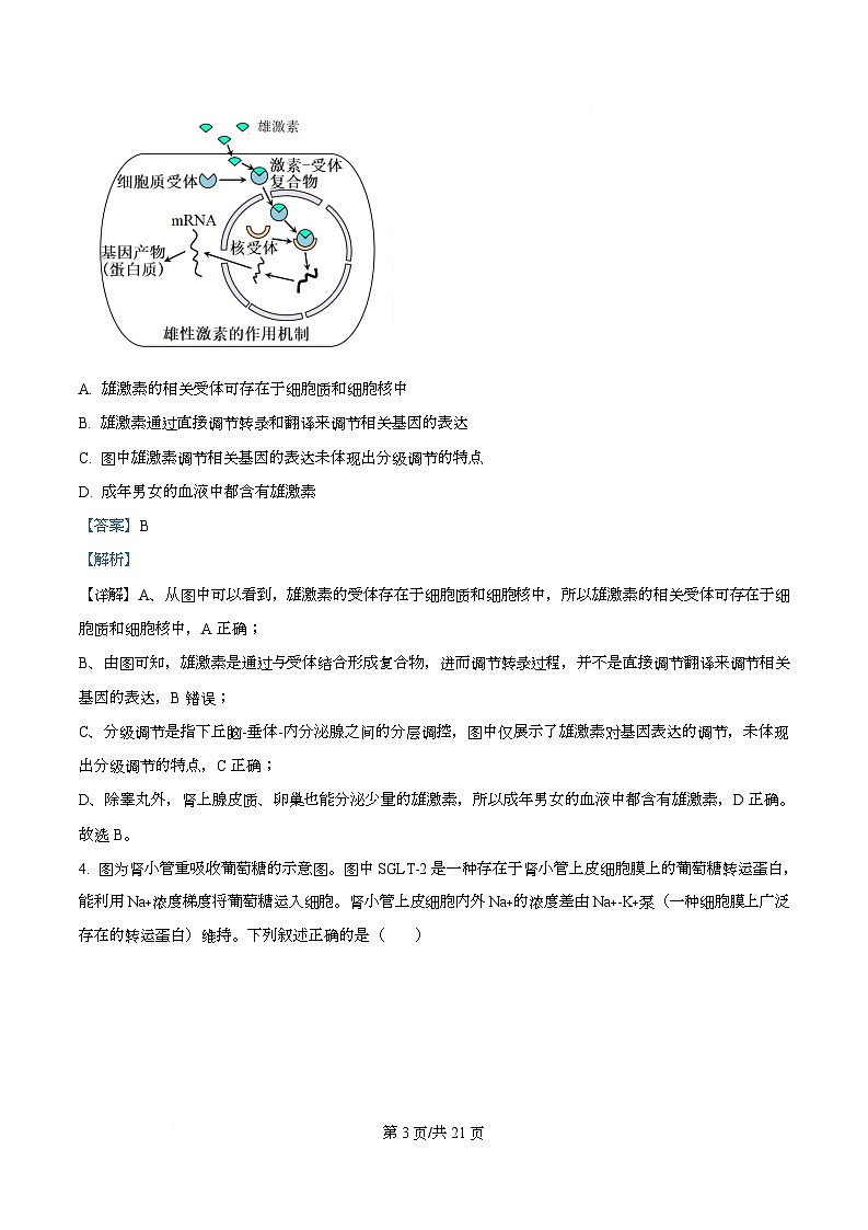 湖北省武汉市武昌区湖北省武昌实验中学2025-2026学年高二上学期12月月考生物试题 Word版含解析第3页