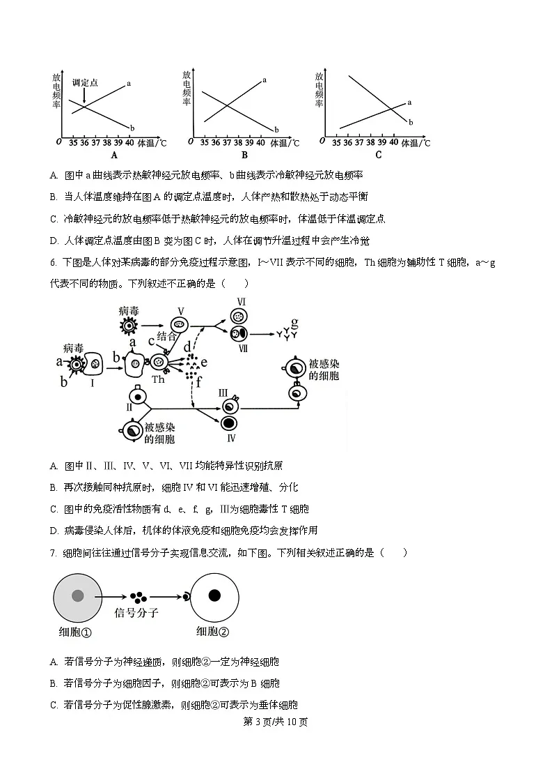 湖北省武汉市武昌区湖北省武昌实验中学2025-2026学年高二上学期12月月考生物试题（原卷版）第3页