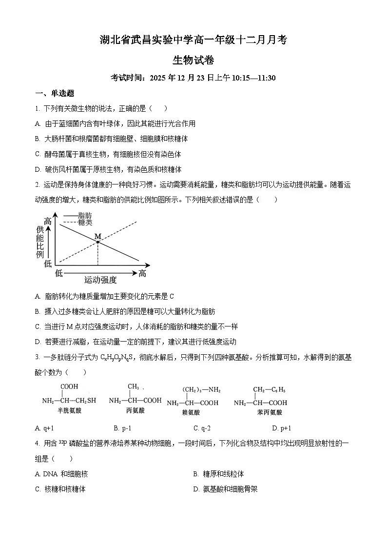 湖北省武昌实验中学2025-2026学年高一上学期十二月月考生物试卷（原卷版）第1页