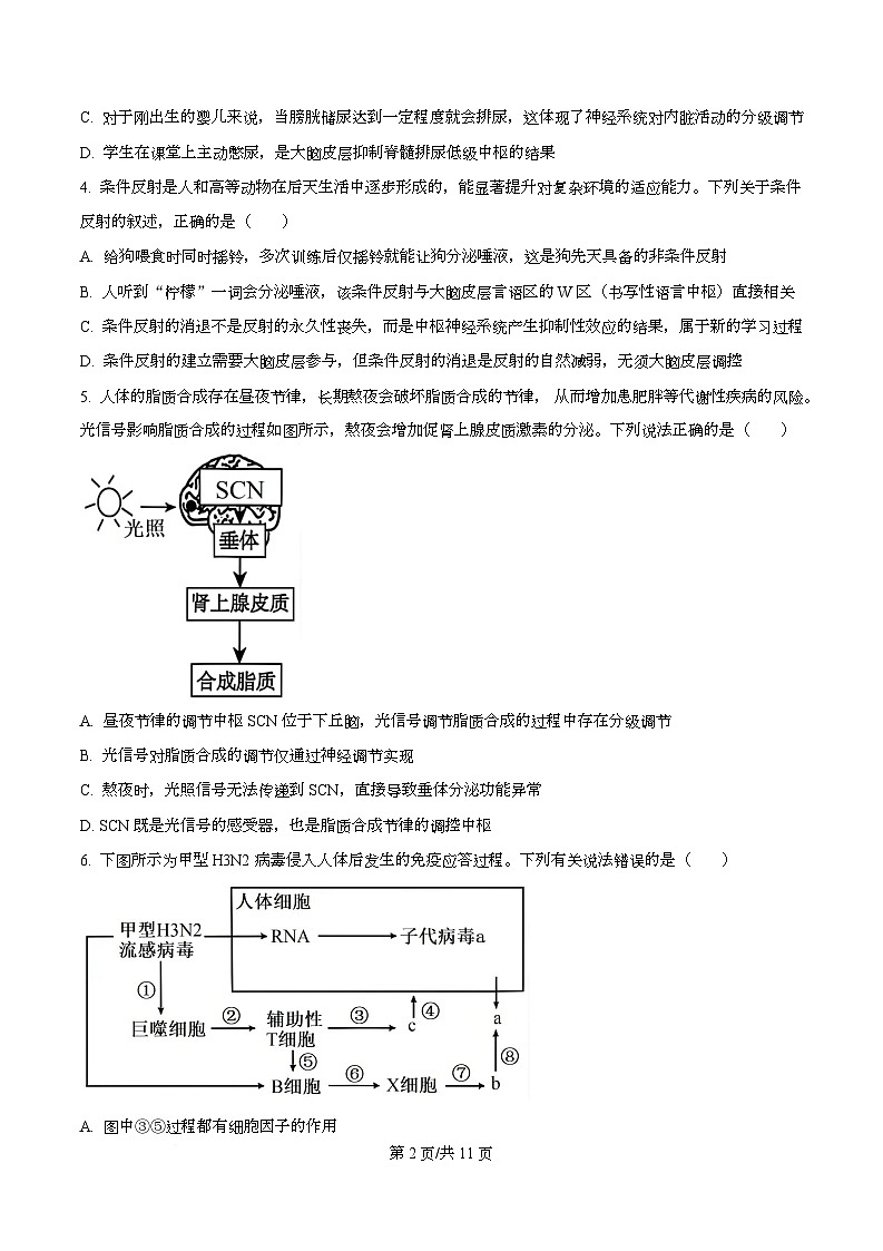 湖南省部分学校2025-2026学年高二上学期12月月考生物试题（原卷版）第2页