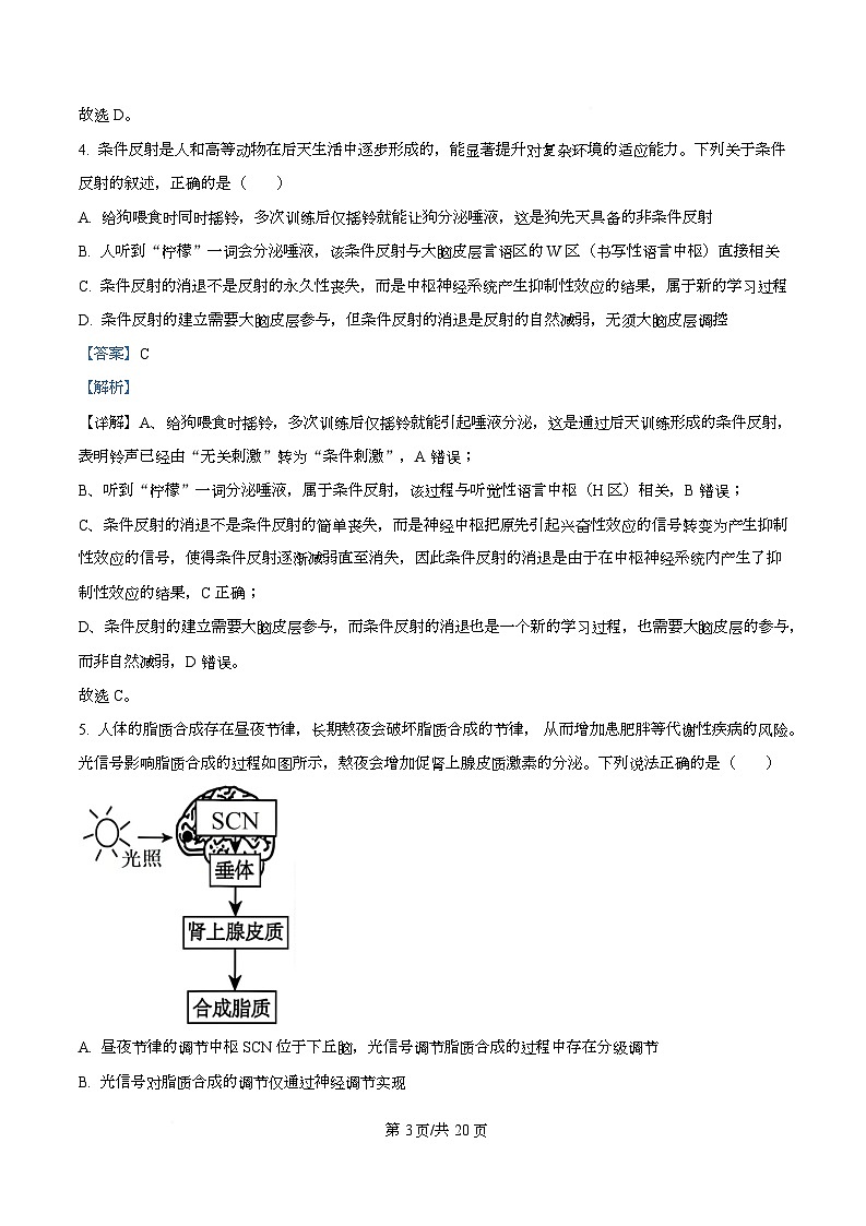 湖南省部分学校2025-2026学年高二上学期12月月考生物试题 Word版含解析第3页