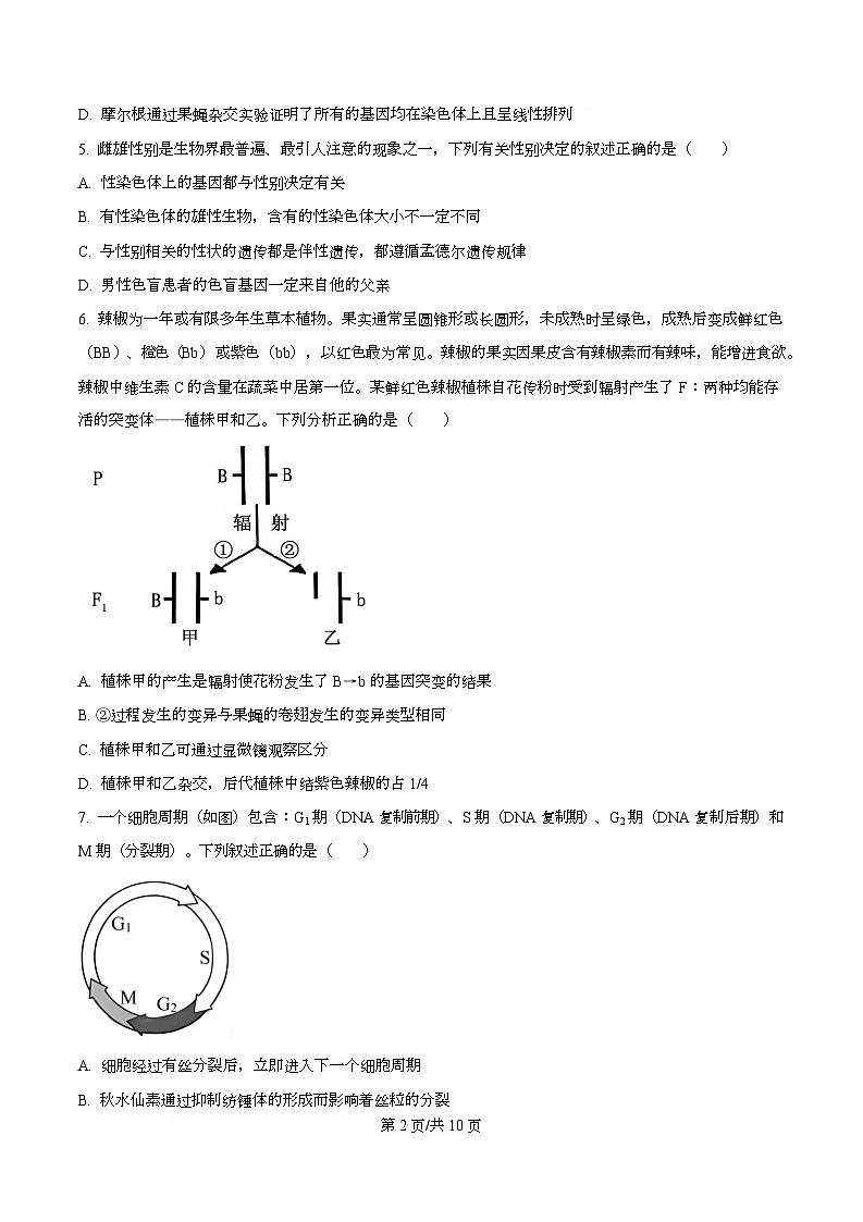 湖南省长沙市天心区长沙市长郡中学2026届高三上学期12月月考试卷（四）生物试题（原卷版）第2页
