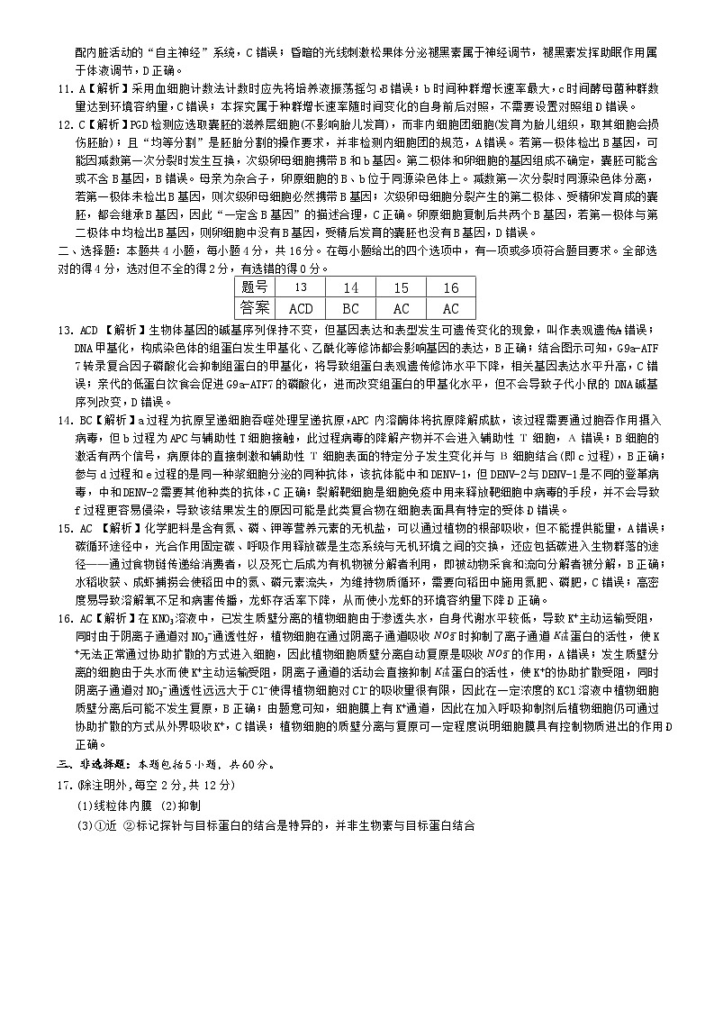 2026届湖南省长沙市长郡中学高三上学期月考试卷(五) 生物学试题解析（26长郡五）第2页