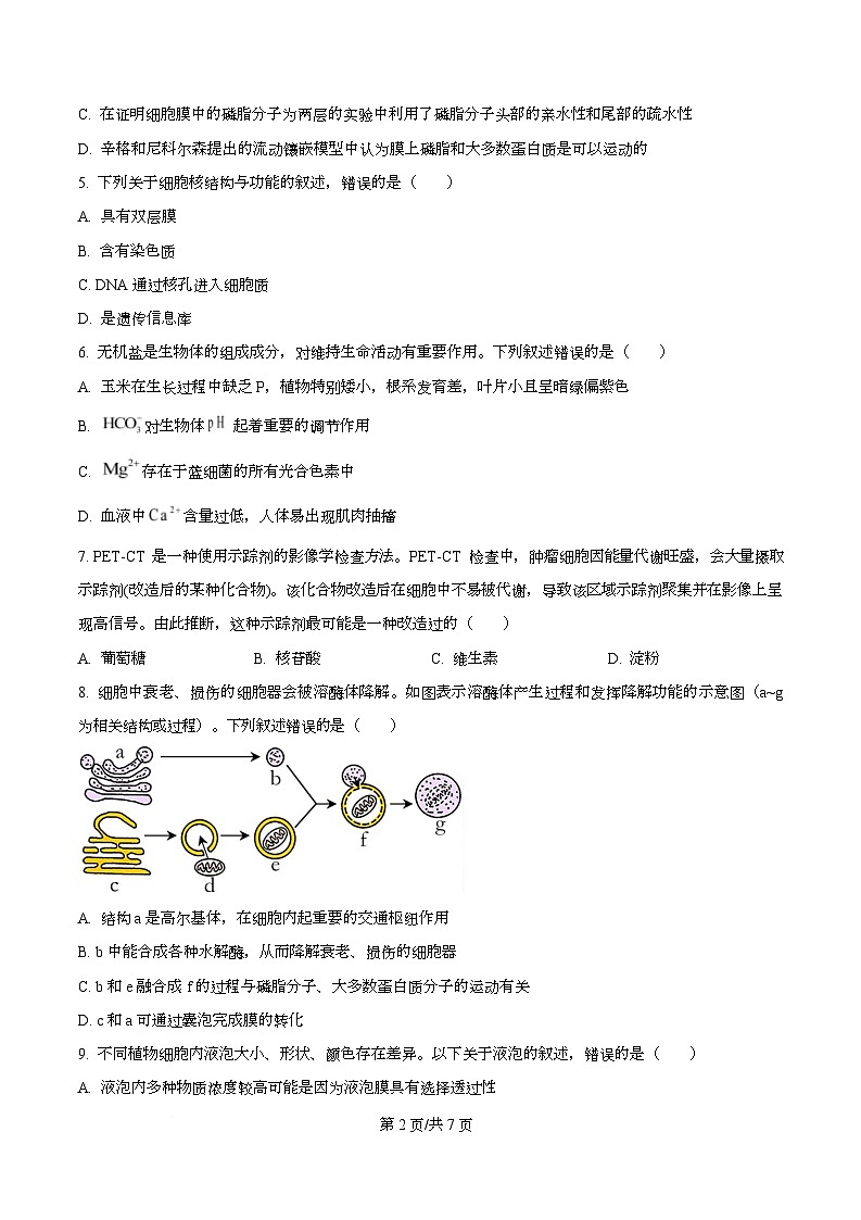 四川省泸州市泸县第五中学2025-2026学年高一上学期12月月考生物试题（原卷版）第2页