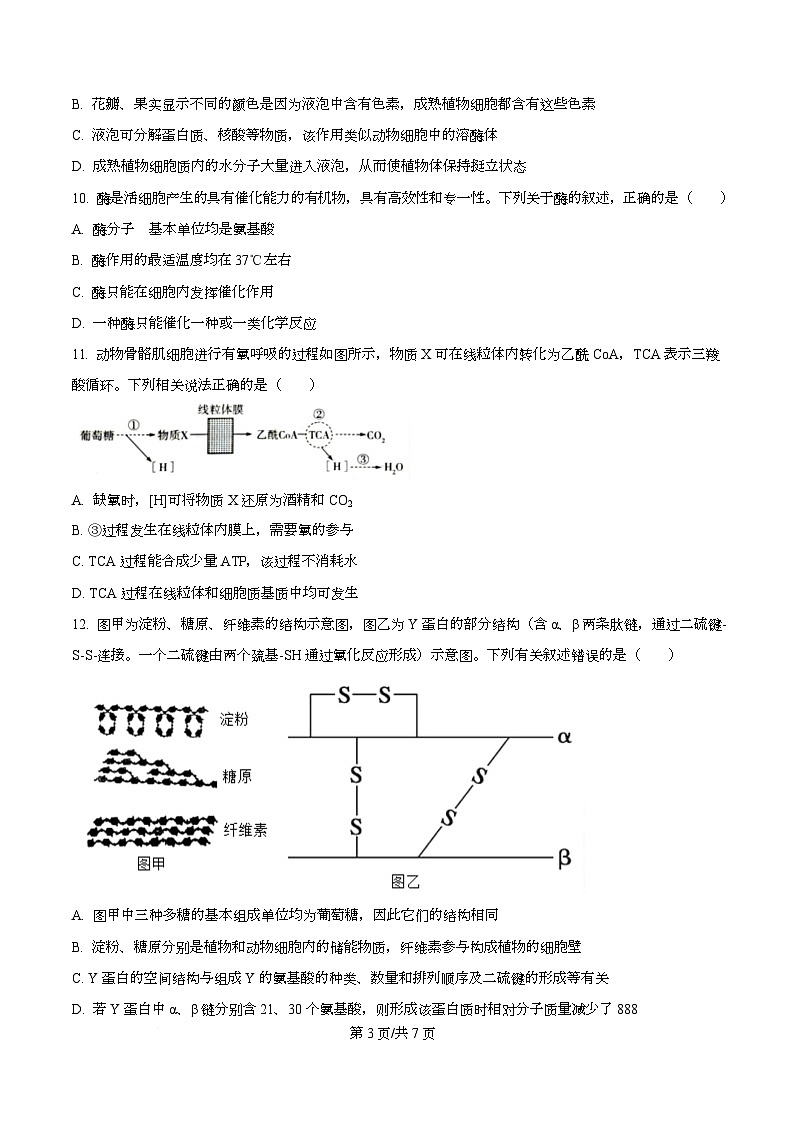 四川省泸州市泸县第五中学2025-2026学年高一上学期12月月考生物试题（原卷版）第3页