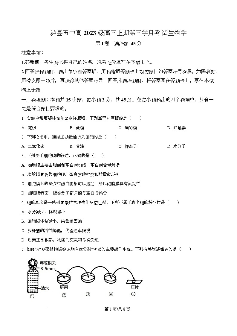四川省泸州市泸县第五中学2026届高三上学期12月月考生物试题（原卷版）第1页