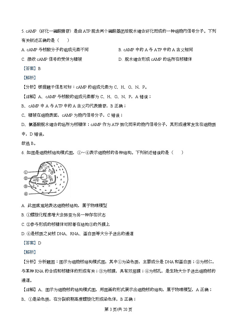 四川省泸州市合江县马街中学2026届高三二模生物试题 Word版含解析第3页
