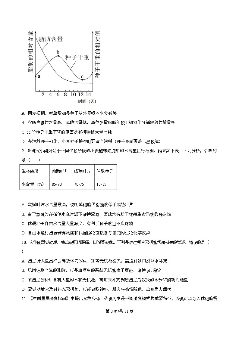 四川省仁寿第一中学南校区2025-2026学年高一上学期12月期中生物试题（原卷版）第3页
