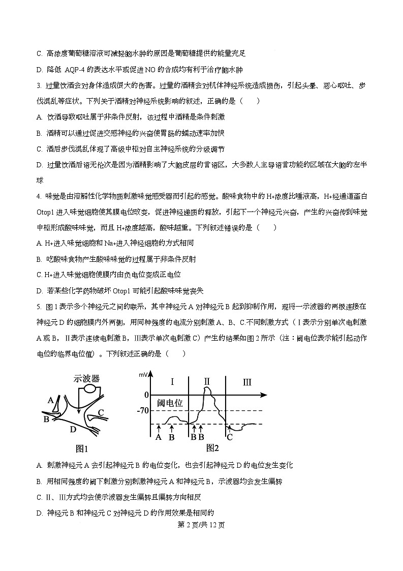四川省内江市第六中学2025—2026学年高二上学期第二次月考生物试题（原卷版）第2页