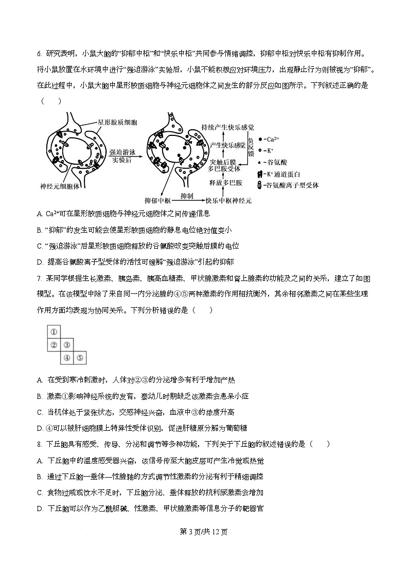 四川省内江市第六中学2025—2026学年高二上学期第二次月考生物试题（原卷版）第3页