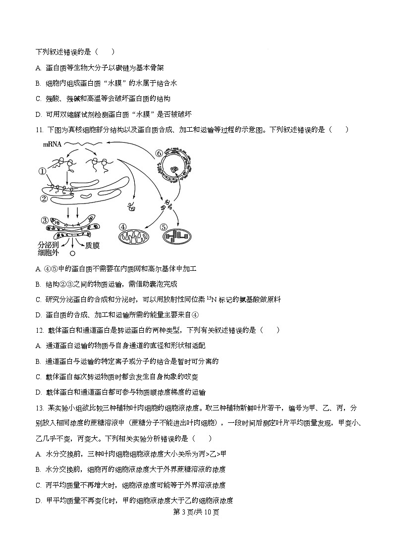 四川省内江市第六中学2025—2026学年高一上学期第二次月考生物试题（原卷版）第3页