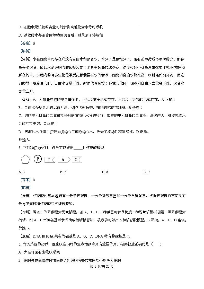 四川省内江市第六中学2025—2026学年高一上学期第二次月考生物试题 Word版含解析第3页