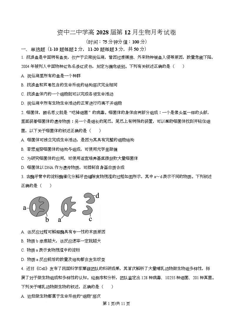 四川省内江市资中县第二中学2025-2026学年高一上学期12月月考生物试题（原卷版）第1页