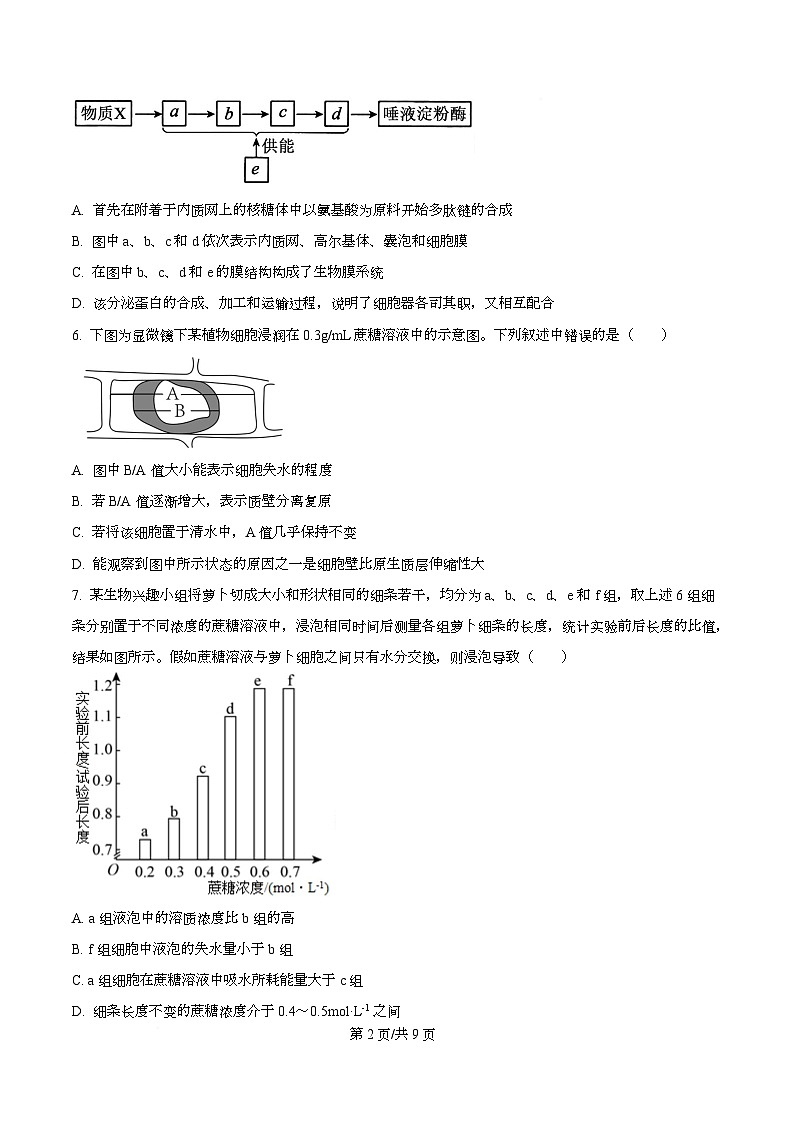 四川省遂宁市蓬溪中学2025-2026学年年高一上学期第三次质量检测生物试题（原卷版）第2页