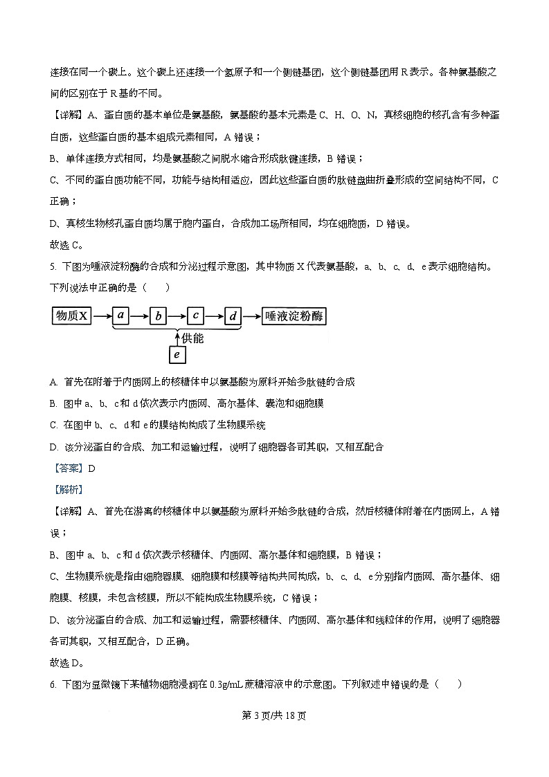 四川省遂宁市蓬溪中学2025-2026学年年高一上学期第三次质量检测生物试题 Word版含解析第3页