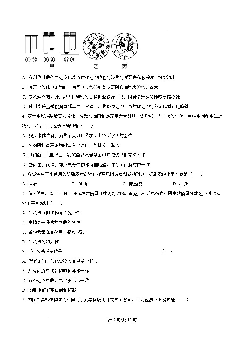 四川省遂宁市射洪市四川省射洪中学2025-2026学年高一上学期12月期中生物试题（原卷版）第2页