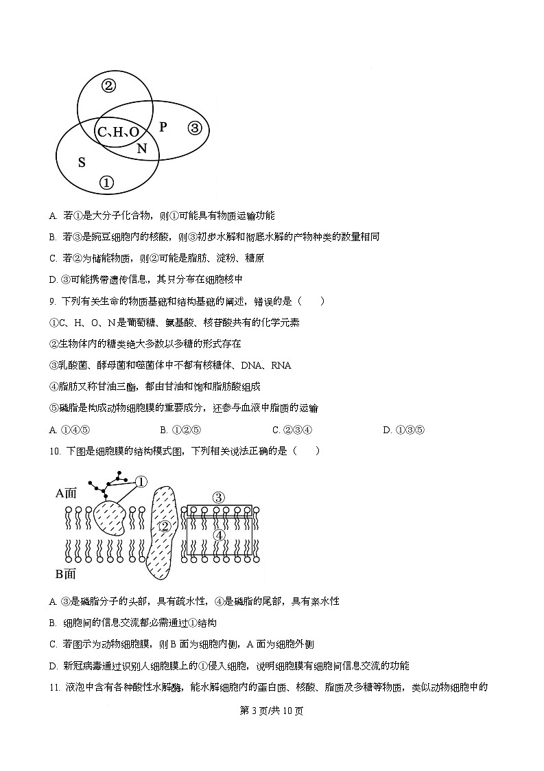 四川省遂宁市射洪市四川省射洪中学2025-2026学年高一上学期12月期中生物试题（原卷版）第3页
