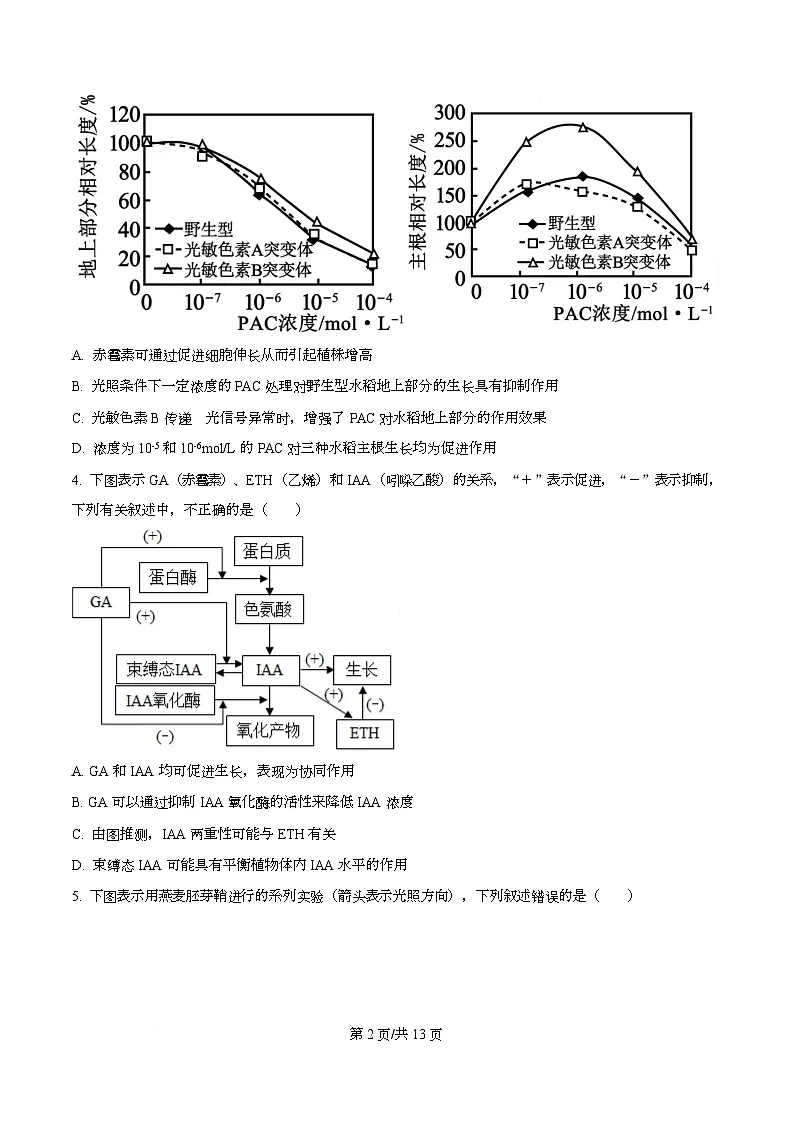 四川省资阳市安岳中学2024-2025学年高二上学期第二次月考生物试题（原卷版）第2页