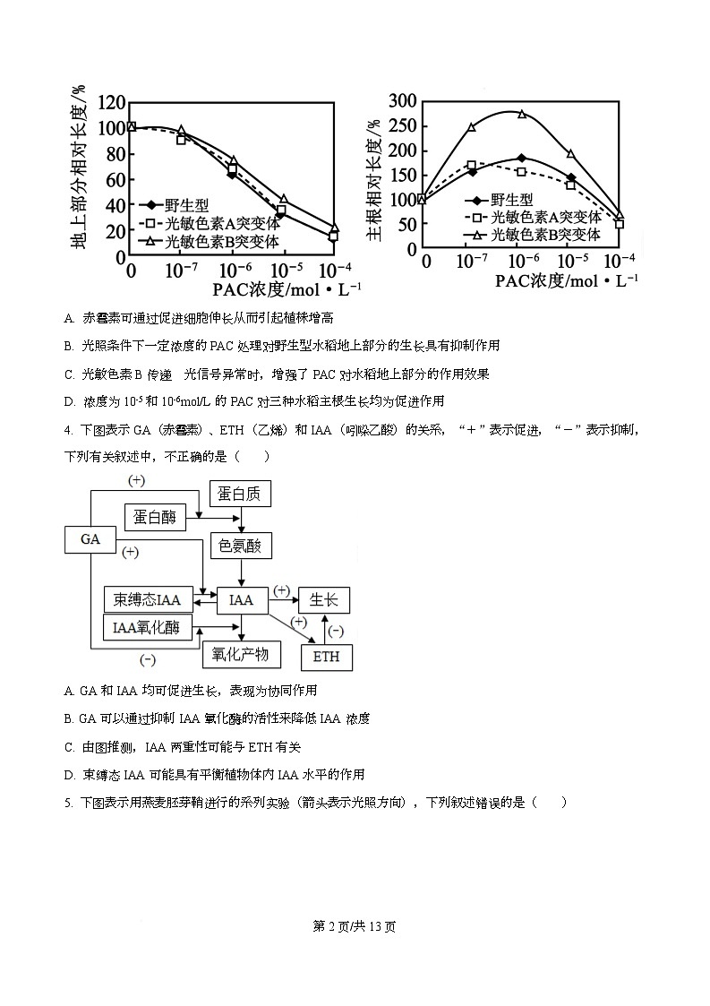 四川省资阳市安岳中学2024-2025学年高二上学期第二次月考生物试题（原卷版）第2页
