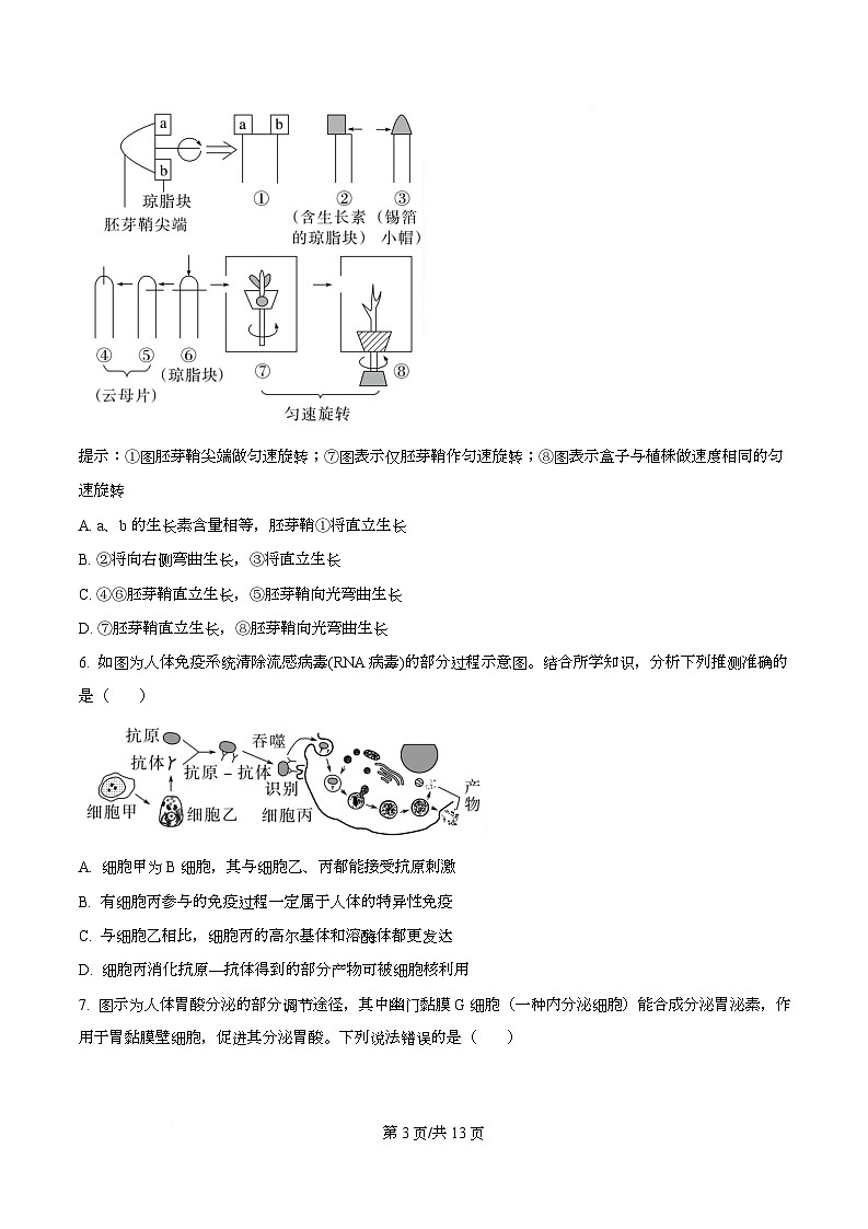 四川省资阳市安岳中学2024-2025学年高二上学期第二次月考生物试题（原卷版）第3页