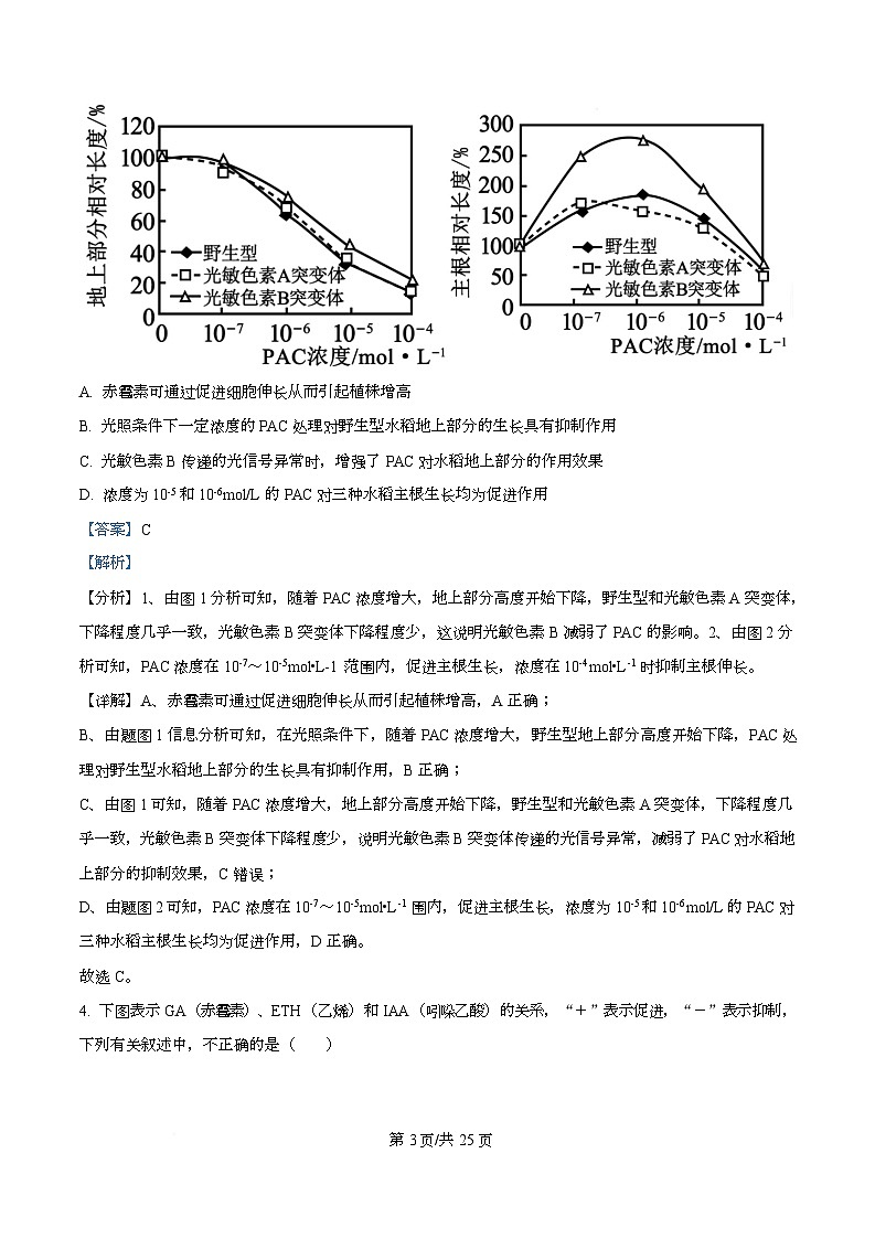 四川省资阳市安岳中学2024-2025学年高二上学期第二次月考生物试题 Word版含解析第3页