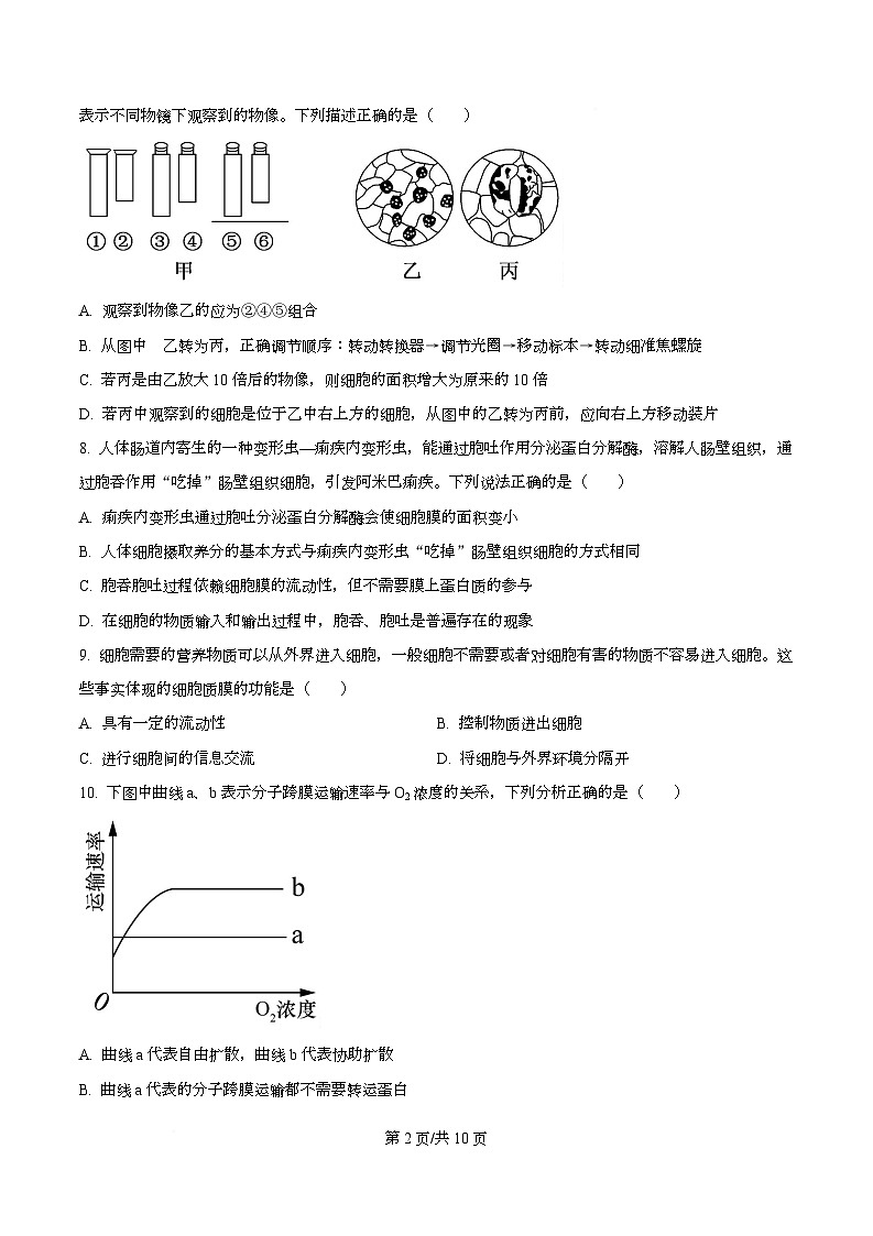 四川省资阳市安岳中学2024-2025学年高一上学期12月月考生物试题（原卷版）第2页