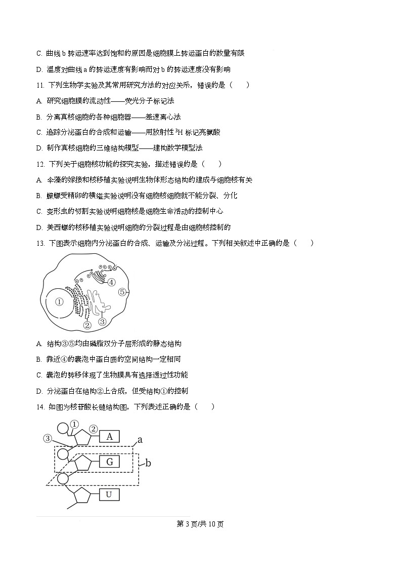四川省资阳市安岳中学2024-2025学年高一上学期12月月考生物试题（原卷版）第3页