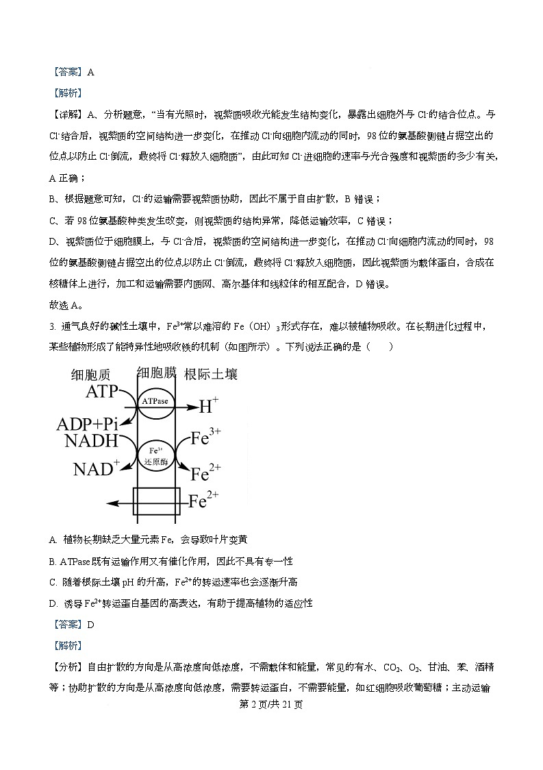 四川省自贡市蜀光中学2026届高三上学期期中考试生物试题 Word版含解析第2页