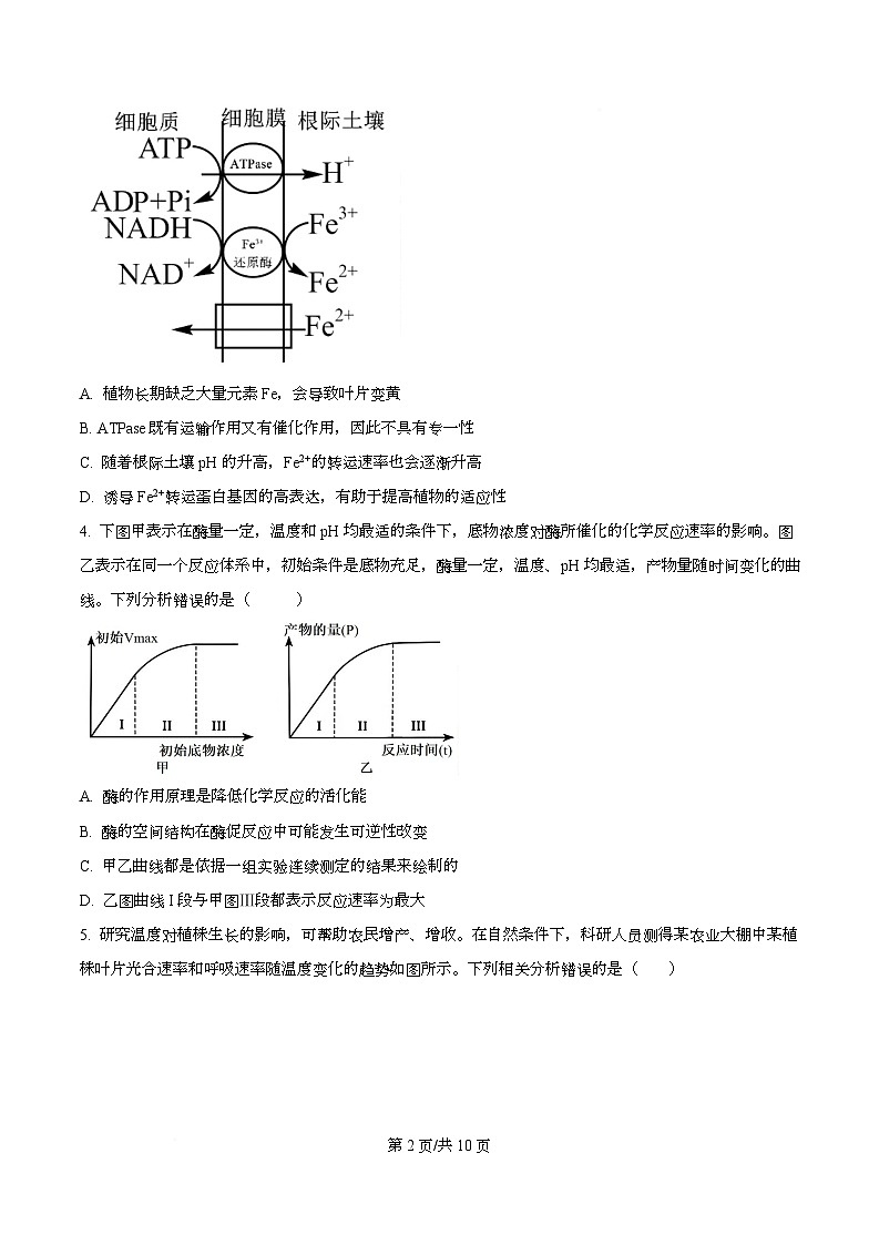 四川省自贡市蜀光中学2026届高三上学期期中考试生物试题（原卷版）第2页