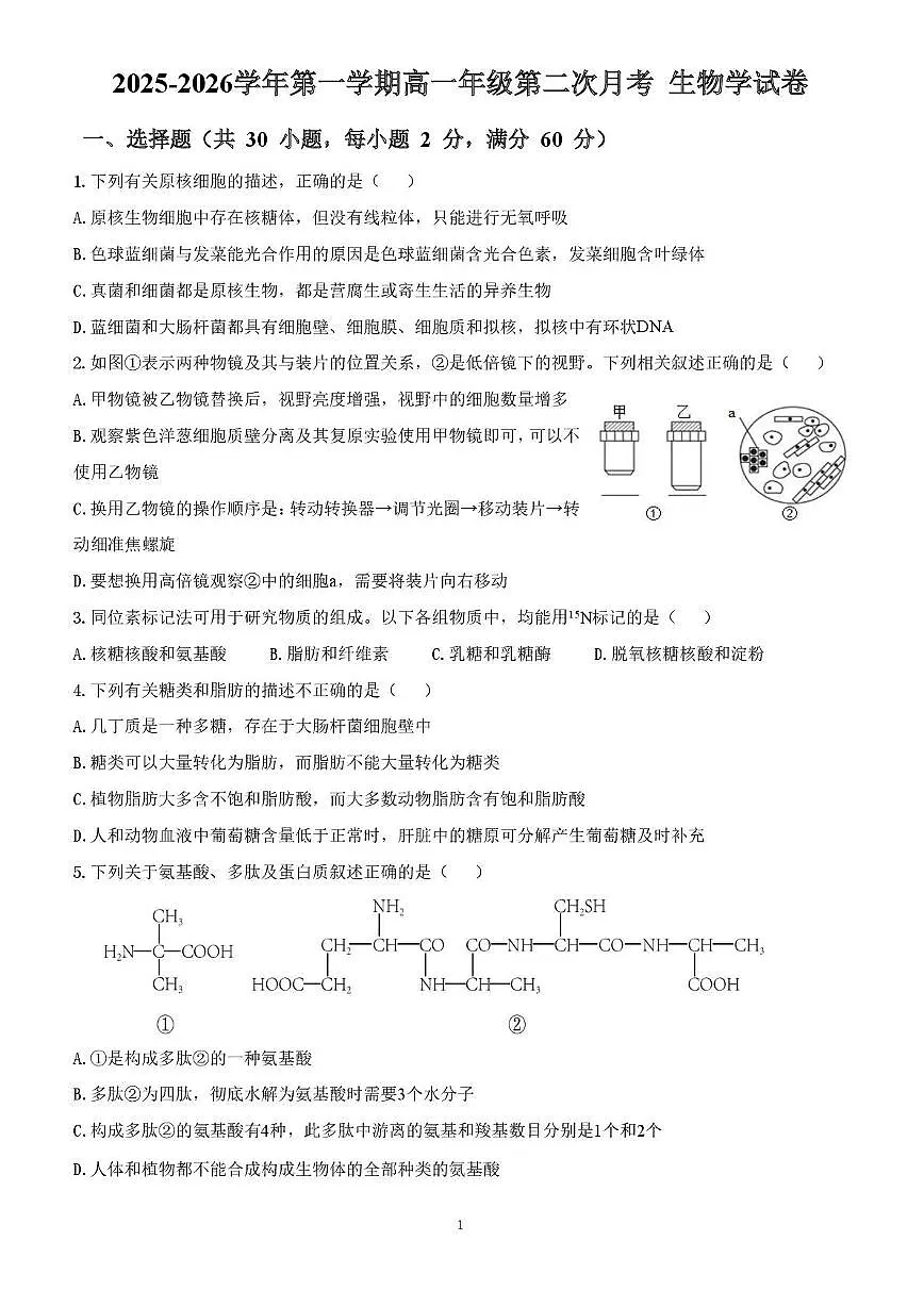 天津市津南小站一中2025-2026学年高一上学期第二次月考生物试卷第1页