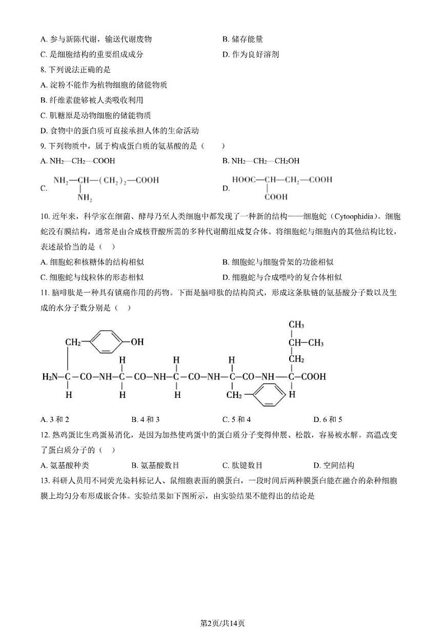 2025北京大兴一中高一（上）期中生物（教师版）（有解析）第2页