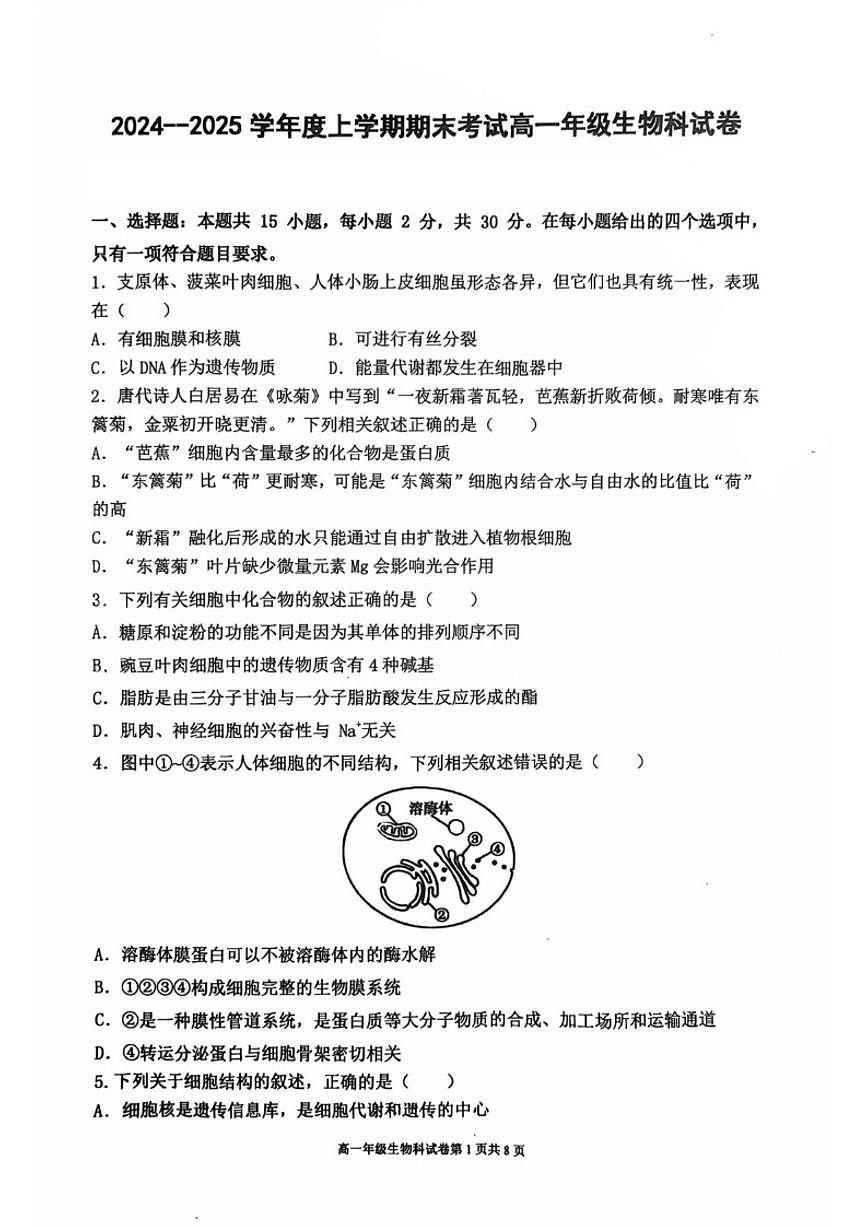 2024-2025学年辽宁省五校联考高一上期末生物试卷（有答案）第1页