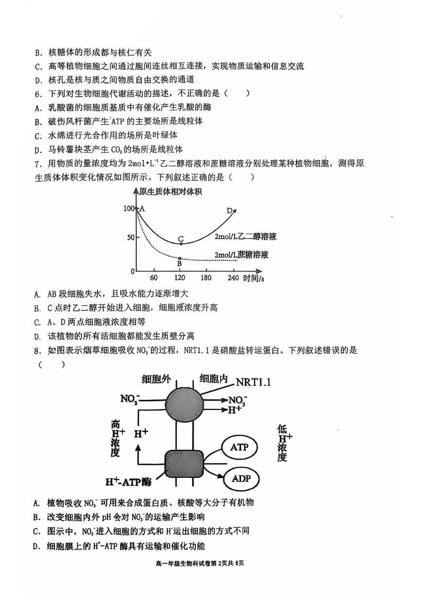 2024-2025学年辽宁省五校联考高一上期末生物试卷（有答案）第2页