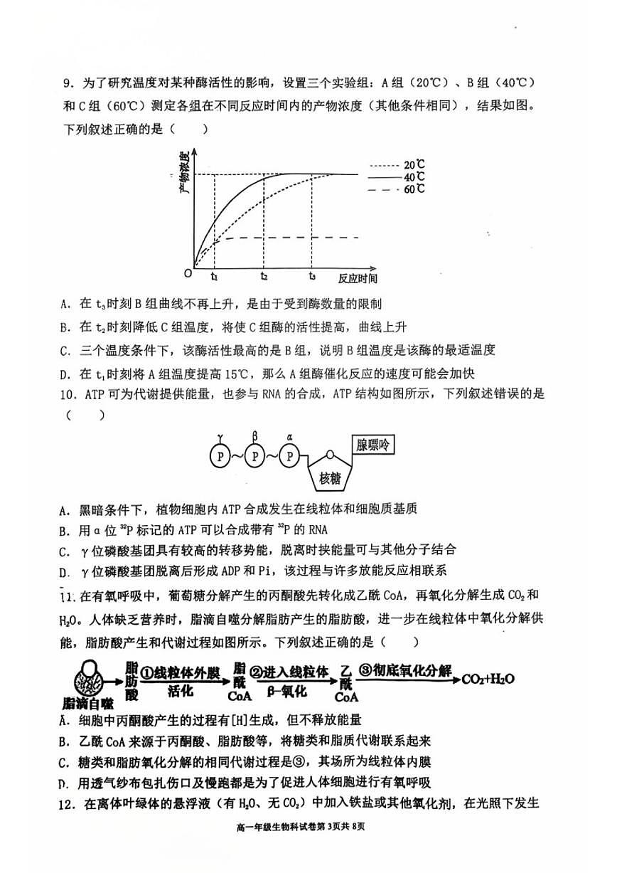 2024-2025学年辽宁省五校联考高一上期末生物试卷（有答案）第3页