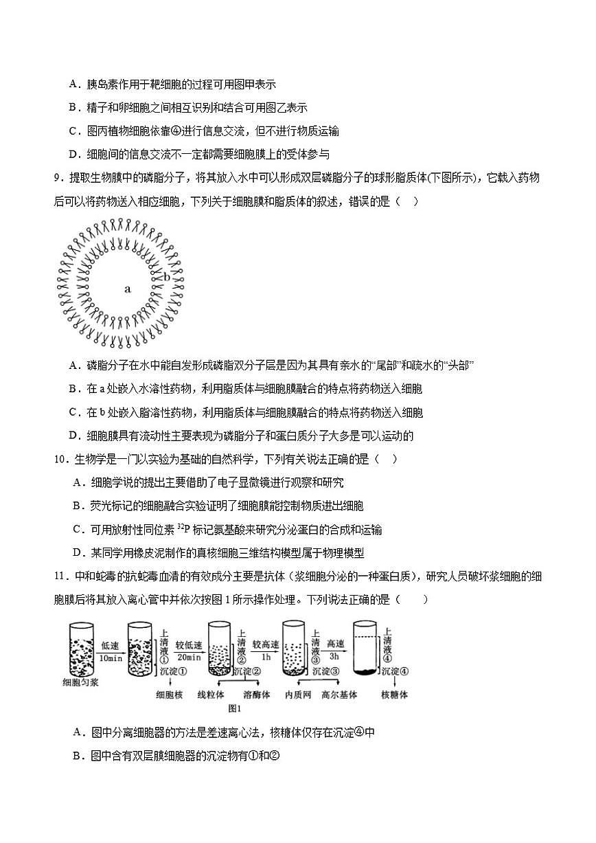 2025-2026学年湖南省邵东市第一中学高一上学期第三次诊断性检测生物试卷（有答案）第3页