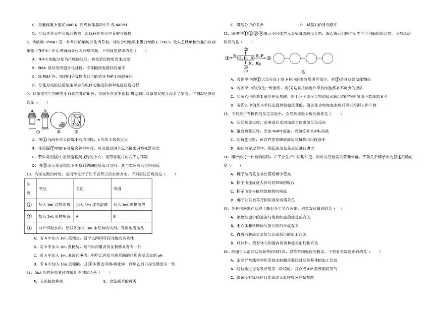2025-2026学年内蒙古自治区鄂尔多斯市东胜区鄂尔多斯市第一中学高一上学期1月月考生物试题（有解析）第2页