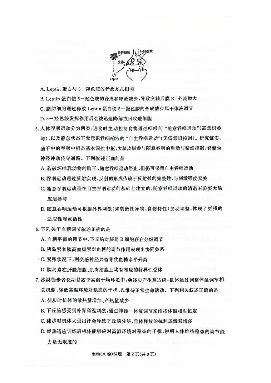 2025-2026学年河南省青桐鸣大联考高二上学期1月质量检测生物学（A卷）（有答案）第2页
