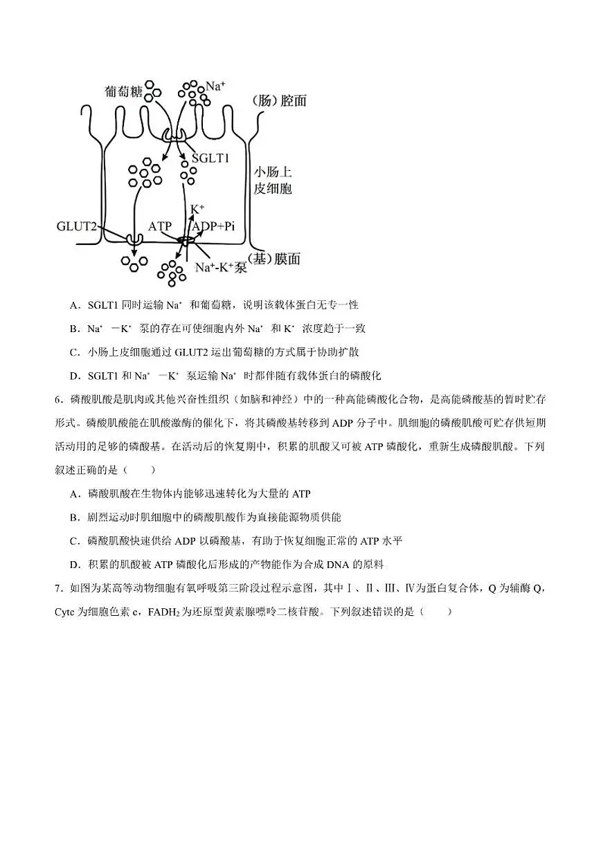 2026届山西省三晋卓越联盟高三上学期12月质量检测生物试卷（有答案）第2页