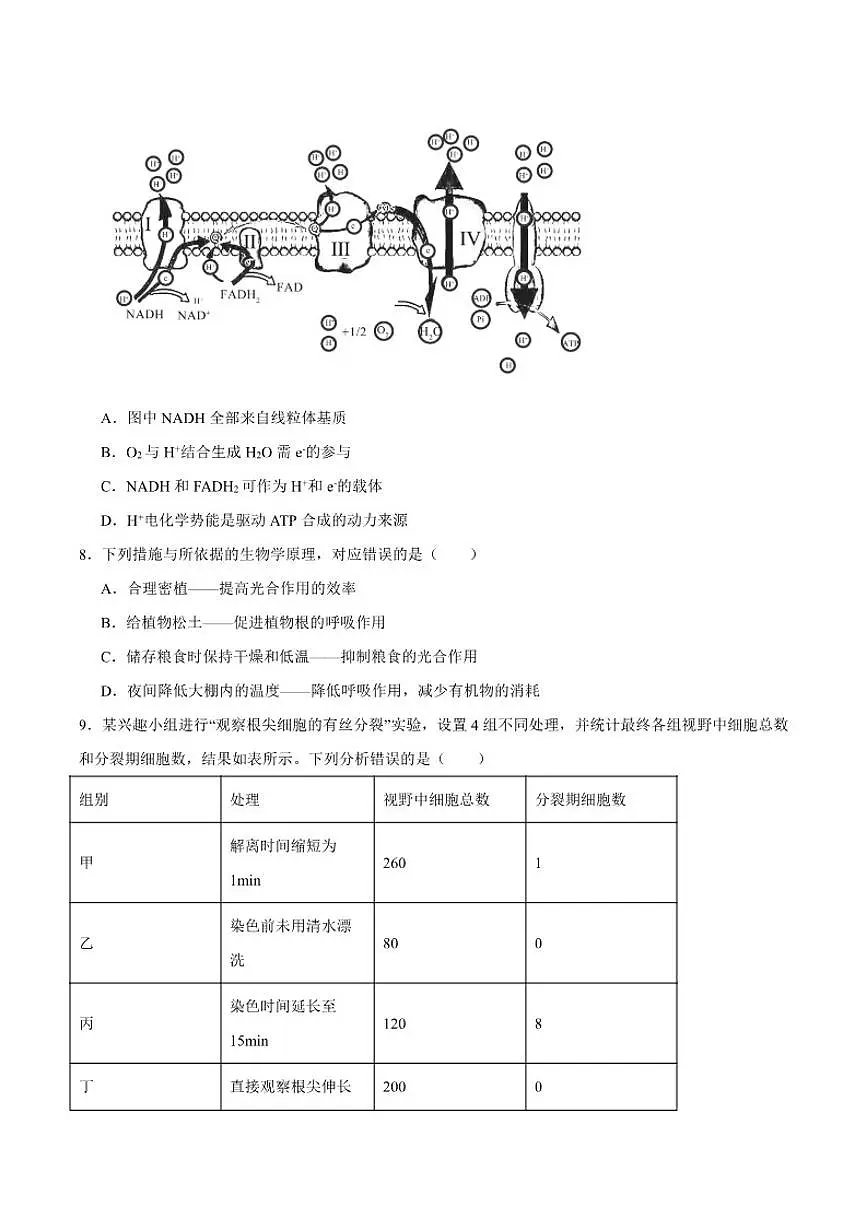 2026届山西省三晋卓越联盟高三上学期12月质量检测生物试卷（有答案）第3页