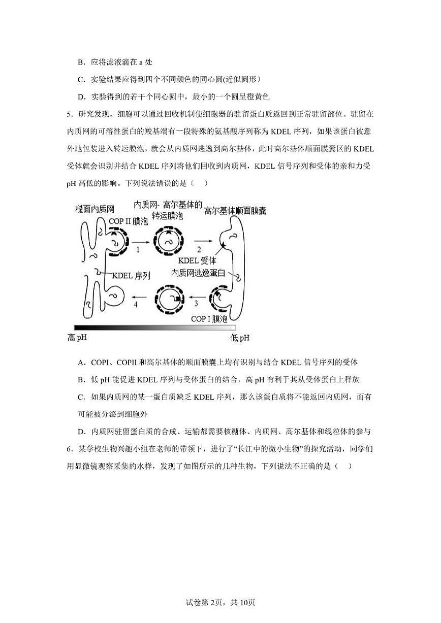 2025-2026学年湖南省常德市汉寿县第一中学高一上学期12月月考生物试题（有答案）第2页