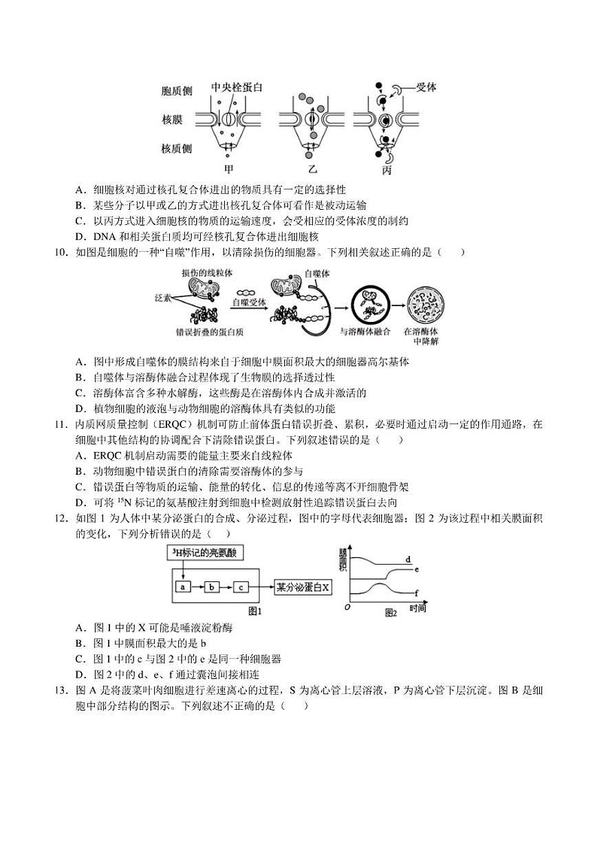 2025-2026学年江西省赣州市南康中学高一上学期第三次大考生物试卷（有答案）第3页