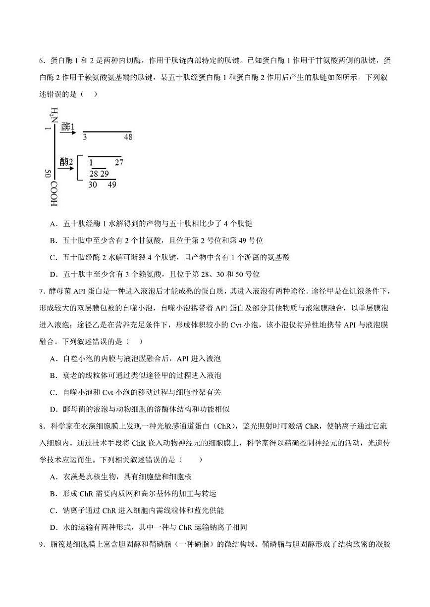 2025-2026学年山东省青岛第五十八中学高一上学期调研测试二（12月）生物试卷（有答案）第2页