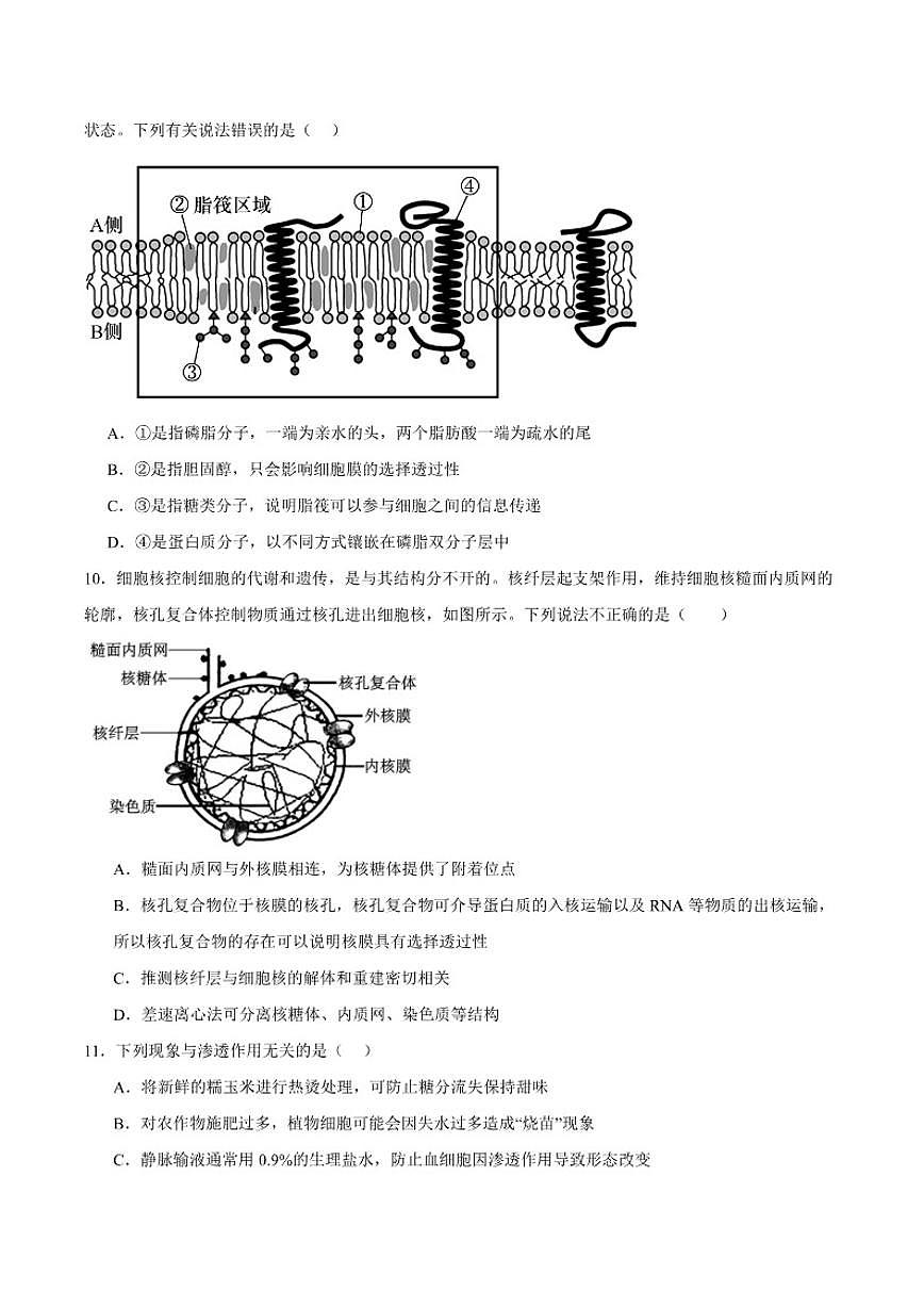 2025-2026学年山东省青岛第五十八中学高一上学期调研测试二（12月）生物试卷（有答案）第3页