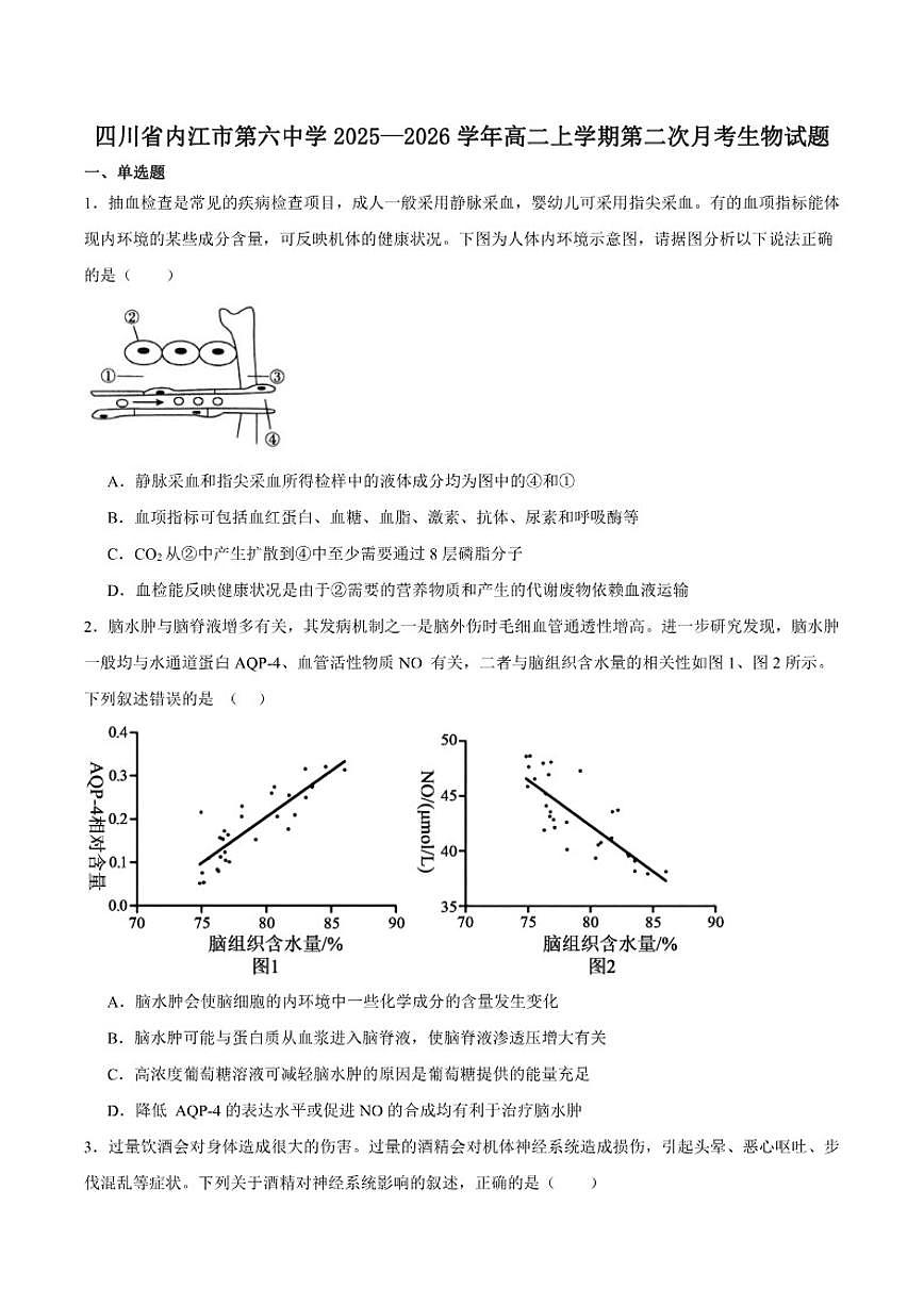 2025-2026学年四川省内江市第六中学高二上学期第二次月考生物试卷（有答案）第1页