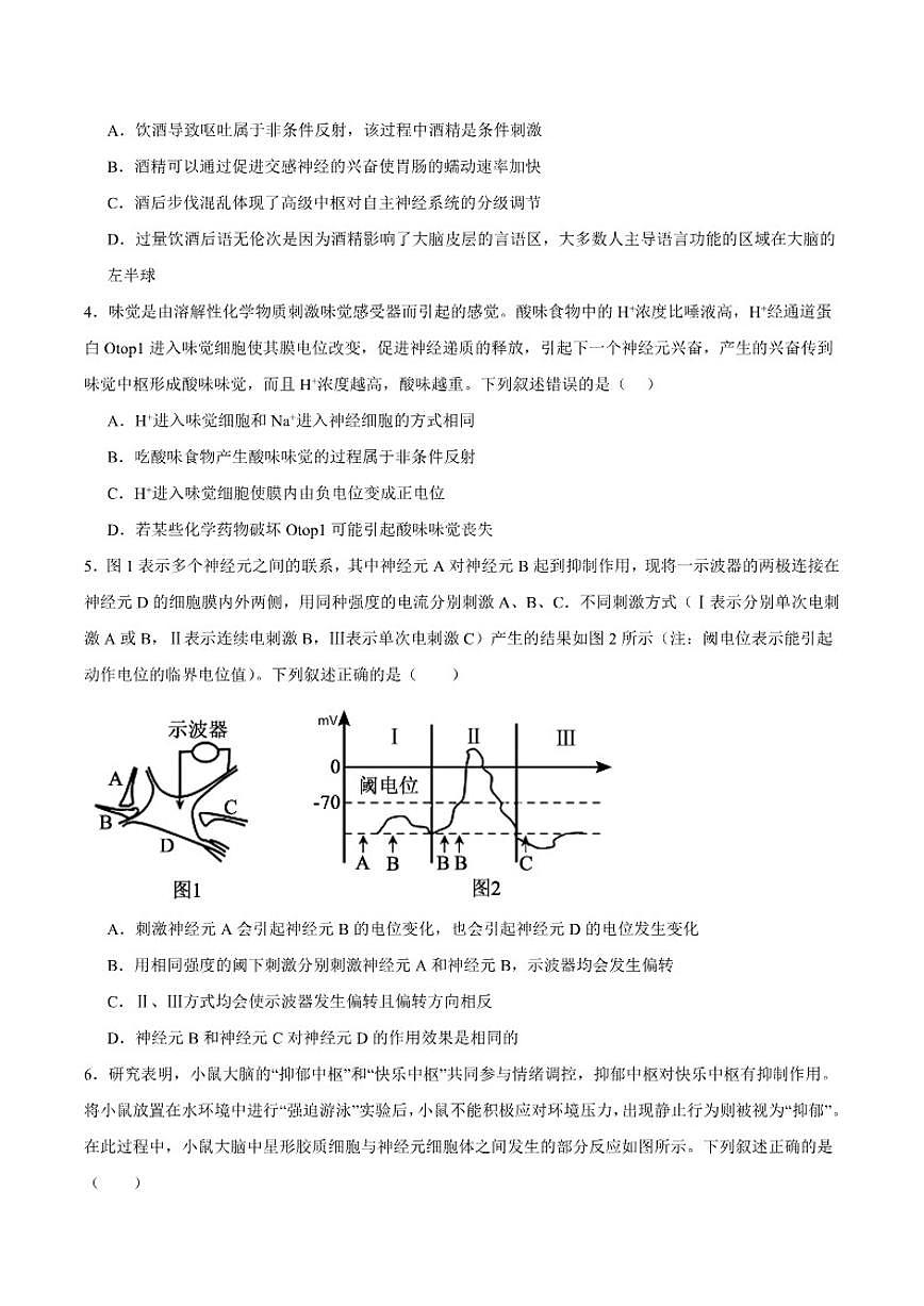 2025-2026学年四川省内江市第六中学高二上学期第二次月考生物试卷（有答案）第2页