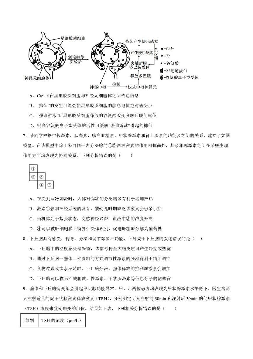 2025-2026学年四川省内江市第六中学高二上学期第二次月考生物试卷（有答案）第3页